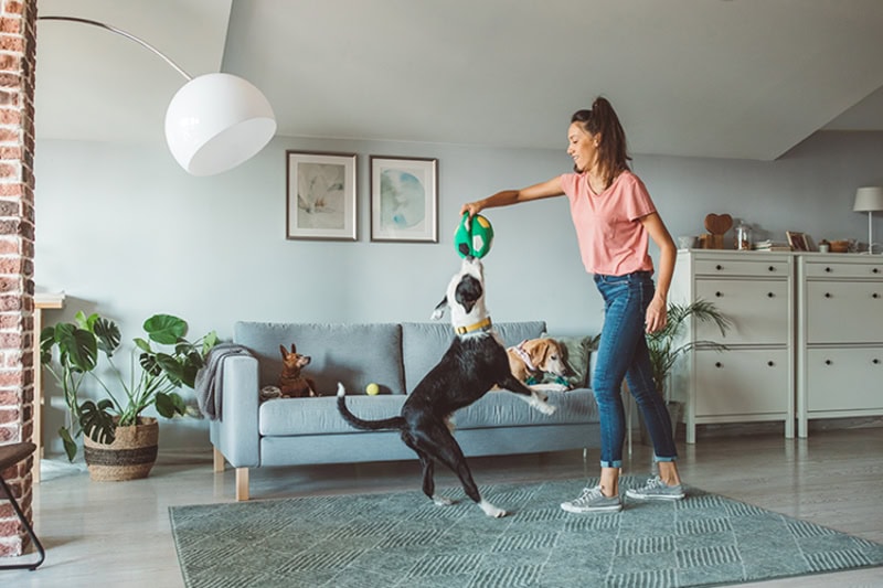 Thermostat Settings: On vs. Auto. Photo of a woman playing with her dog in the living room.